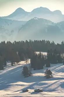 Malga Prints: The first light of the day hitting the snowy meadows of the Alpe di Siusi (Seiser Alm) on a late winter morning