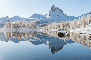 Larches Prints: First snow at Federa Lake. Cortina D'Ampezzo, Veneto, Italy