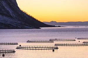 Nord Prints: Fish farming in the fjord in front of Torsken. Torsken, Torskefjorden, Senja, Norway