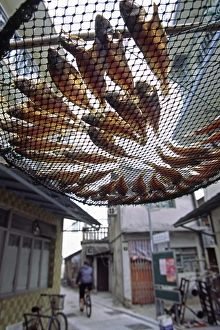 Lantau Prints: Fish are laid out to dry above the streets of Tai O