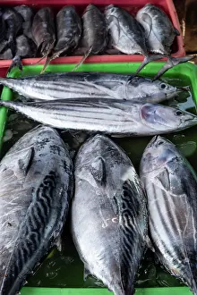 Fish Market Prints: Fish Market, Jimbaran beach, Bali, Indonesia