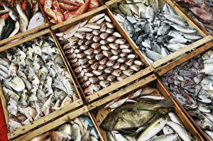 Images Dated 12th May 2014: Fish market, Ouranopoli, Chalkidiki, Greece