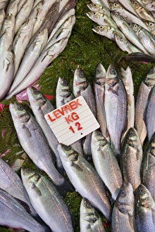Price Prints: Fish for sale in the Egyptian Bazaar, Istanbul