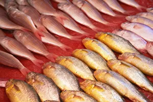 Images Dated 5th July 2010: Fish for sale at fish market, Shenzhen, Guangdong Province, China