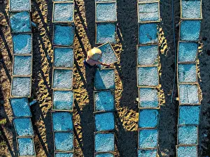 Straight Down Prints: Fisherman arranging anchovies to dry on the beach, Tuy An, Phu Yen Province, Vietnam