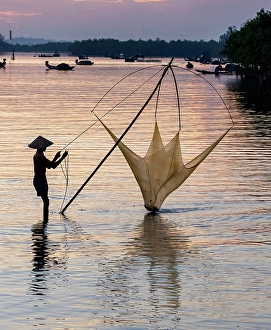 Hoi An Prints: Fisherman lifting his traditional net from the water at sunrise