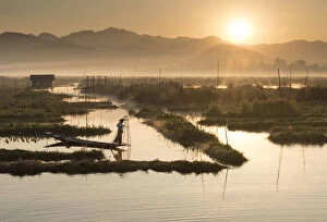 A fisherman rows in floating gardens at sunrise, Inle Lake, Shan State, Myanmar