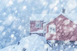Lodge Gallery: Fishermens houses (rorbuer) in Hamnoy during a snowfall, Lofoten islands, Norway