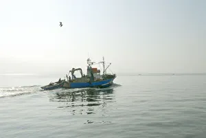 Sado River Prints: Fishing boat in a foggy morning going to the sea. Setubal, Portugal