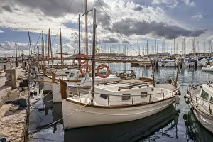 Port De Pollenca Prints: Fishing boats in the harbor of Port de Pollenca, Mallorca, Spain