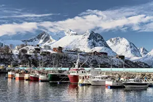 Cold Temperature Prints: Fishing boats moored in the harbor surrounded by snowcapped mountains