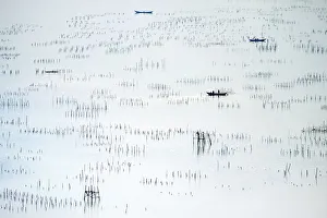 Catching Fish Prints: Fishing boats and oyster beds at Vanang An CAE