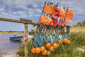 Prerow Prints: Fishing boats in the port of Darsser Ort near Prerow, Mecklenburg-Western Pomerania