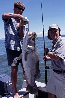 Fishing guide