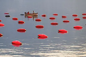 Adriatic Caost Prints: Fishing in Kotor Bay, Montenegro