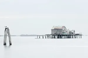 Fishing lodge on the coast of the Isola di Pellestrina, Venice, Veneto, Italy