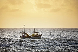 Cadgwith Prints: Fishing trawler heading out to sea at sunrise