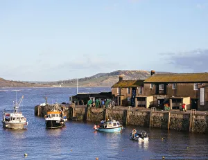 Fishing trawlers in harbour, Lyme Regis, Dorset, England