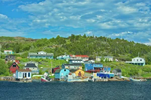 Newfoundland Prints: FIshing village. Baie Verte Peninsula