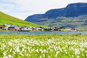 Freshness Prints: Fishing village of Hvannasund framed by wildflowers in bloom covering the green meadows