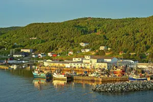 Newfoundland Prints: Fishing village in La Scie Harbour off the Atlantic Ocean