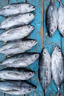 Fishmarket, Tarqui Beach, Manta, Manabi, Ecuador