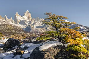 Images Dated 31st January 2020: Fitz Roy range peaks in autumnal landscape. El Chalten, Santa Cruz province, Argentina