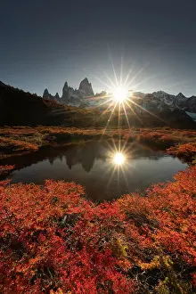 Moutnains Prints: Fitzroy mountain near El Chalten reflecting in a pond in the Los Glacier National Park