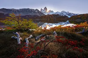 Moutnains Prints: Fitzroy mountain at sunset reflectin in the Laguna Capri lake near El Chalten