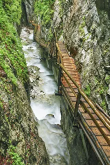 Fixed rope route in forest - Austria, Upper Austria, Kirchdorf an der Krems
