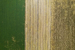 Texture Collection: flag in the field, drone picture, Tuscan-emilian Apennine national park