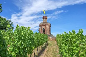 Wine Growing Region Prints: Flag tower on the hilltop of Fuchsmantel hill near Bad Durkheim