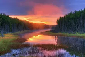 Fleeting, Wetland in fog at sunrise Duck Mountain Provincial Park, Manitoba, Canada