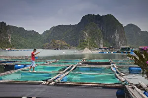 Floating fish farm off Cat Ba Island, Halong Bay, Vietnam