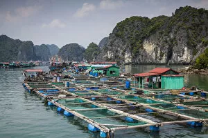 Images Dated 5th November 2013: Floating fish farm off Cat Ba Island, Halong Bay, Vietnam