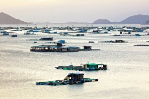 South Vietnam Prints: Floating fishing village, South Vietnam