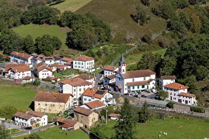 Sheep Prints: A flock of sheep pass through Urepel village