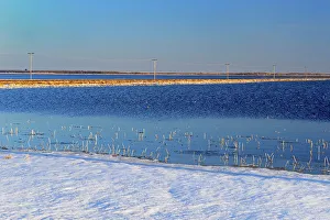 Flooded fields in early spring. Morris, Manitoba, Canada