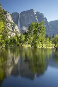 Flooded Merced River and Yosemite Falls during springtime, Yosemite, California, USA