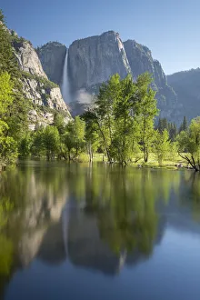 Flooded Merced River and Yosemite Falls during springtime, Yosemite, California, USA Flooded Merced River and Yosemite Falls during springtime, Yosemite, California, USA