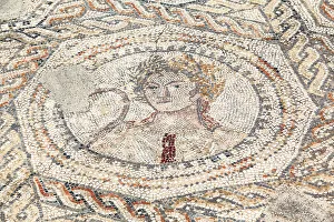 Marocco Prints: A floor mosaic in the ancient Roman ruins of Volubilis, near Meknes, Morocco
