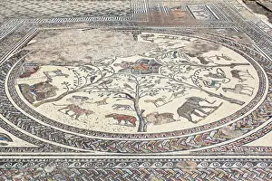 Marocco Prints: The floor mosaic inside the Orpheus House of the ancient Roman ruins of Volubilis