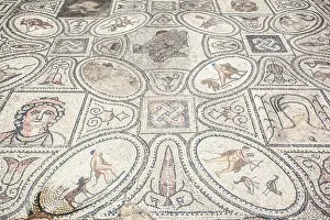 The floor mosaic representiong the Exploits of Hercules in the ancient Roman ruins of Volubilis, near Meknes, Morocco