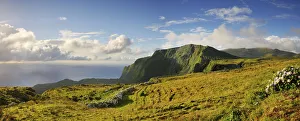Flores Prints: Flores, Azores islands, Portugal