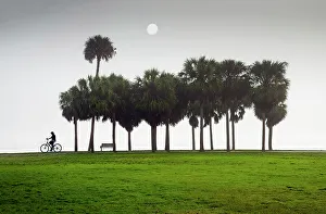 Florida, Saint Petersburg, Sunrise, Fog, Vinoy Park, Waterfront, Tampa Bay, Bicycling