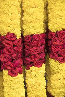 Flower garland, Little India, Singapore