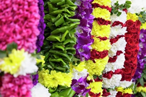 Little India Prints: Flower garlands, Little India, Brickfields, Kuala Lumpur, Selangor, Malaysia