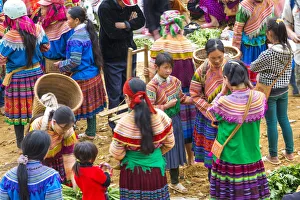 Tribe Prints: Flower Hmong tribes people at market, nr Bac Ha, nr Sapa, Vietnam