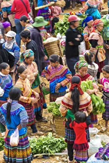 Tribe Prints: Flower Hmong tribes people at market, nr Bac Ha, nr Sapa, Vietnam