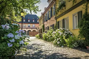 Images Dated 3rd November 2022: Flower-lined alley in the old town of Frankfurt-Hochst, Frankfurt, Hesse, Germany